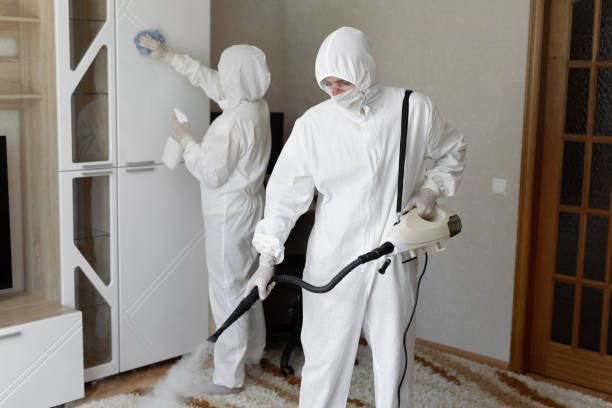 Affordable Infectious Disease Decontamination solutions in Caruthers, CA